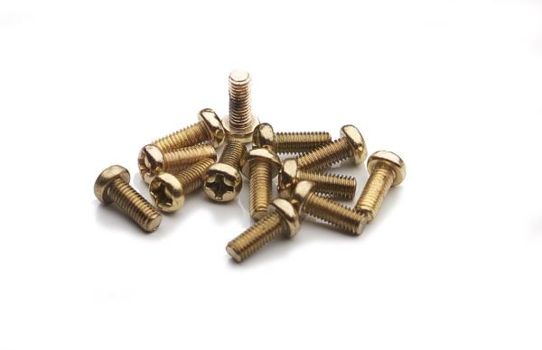 Ring Net Retaining Screws (Bag of 12)